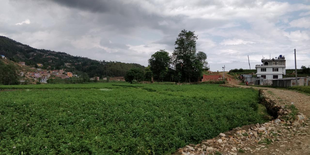 Panauti Homestay 外观 照片